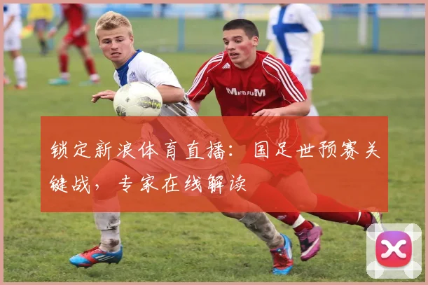 锁定新浪体育直播：国足世预赛关键战，专家在线解读